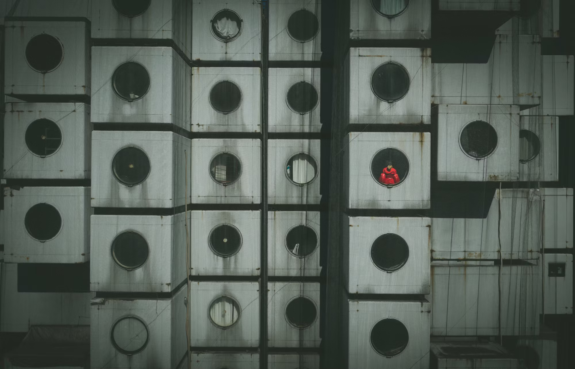 Cinema and the Art of Storytelling: Crafting Connections Through Film